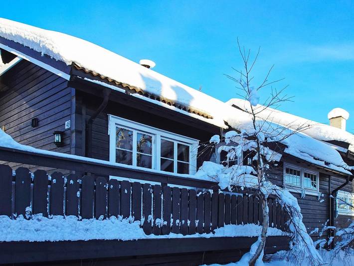 Ferienhaus für 10 Personen, mit Sauna und Terrasse, kinderfreundlich - 1