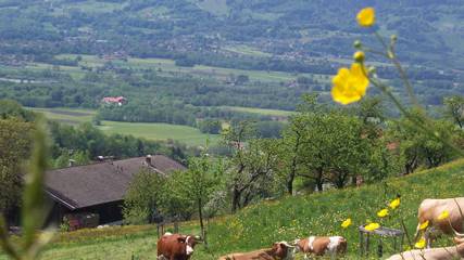 Ferienwohnung für 4 Personen in Samerberg, Bayerische Alpen, Bild 4