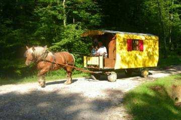 Agriturismo pour 5 personnes, avec jardin à Écleux