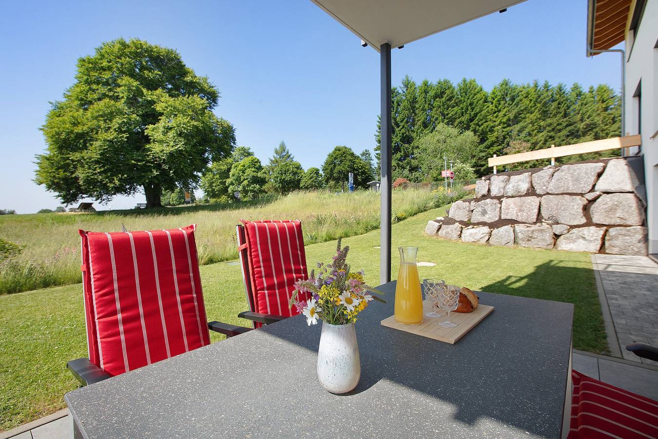 Ganze Wohnung, Ferienwohnung Alpenliebe mit Bergblick, privater Terrasse und Wlan in Höchenschwand, Südschwarzwald