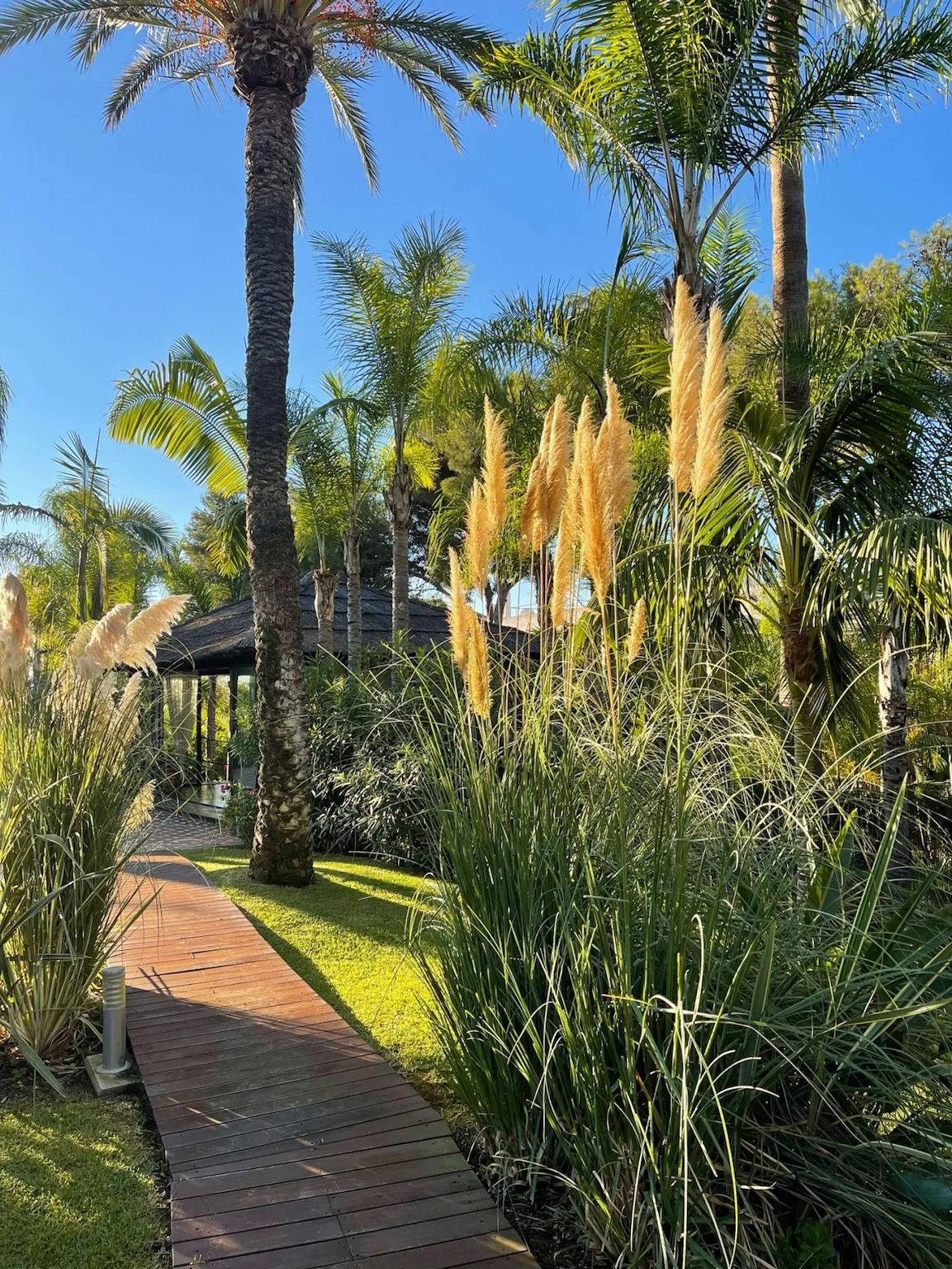 Villa in palm tree plantation, near the beach. in Marbella West, Marbella