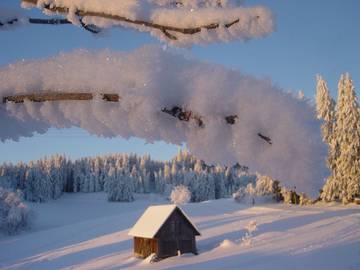 Hotel für 5 Personen in Furtwangen, Hochschwarzwald, Bild 1