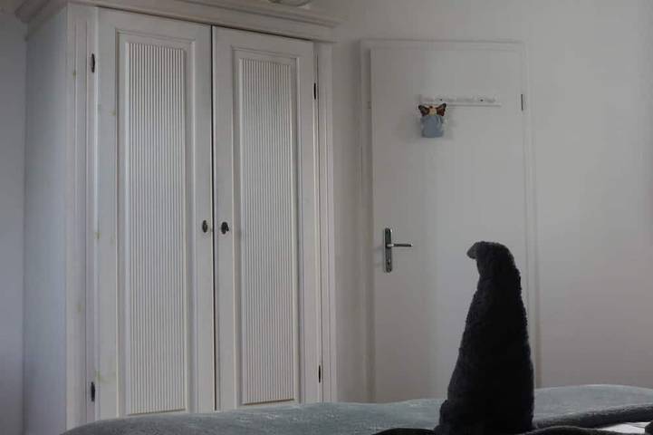 Ferienhaus für 8 Personen, mit Garten und Terrasse, mit Haustier in Willingen - 4