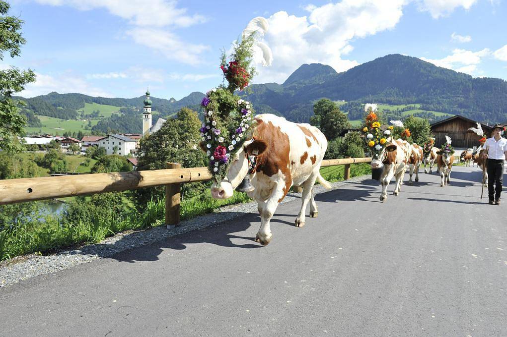 Ganze Ferienwohnung, Appartement Maria in Breitenbach am Inn, Kaisergebirge