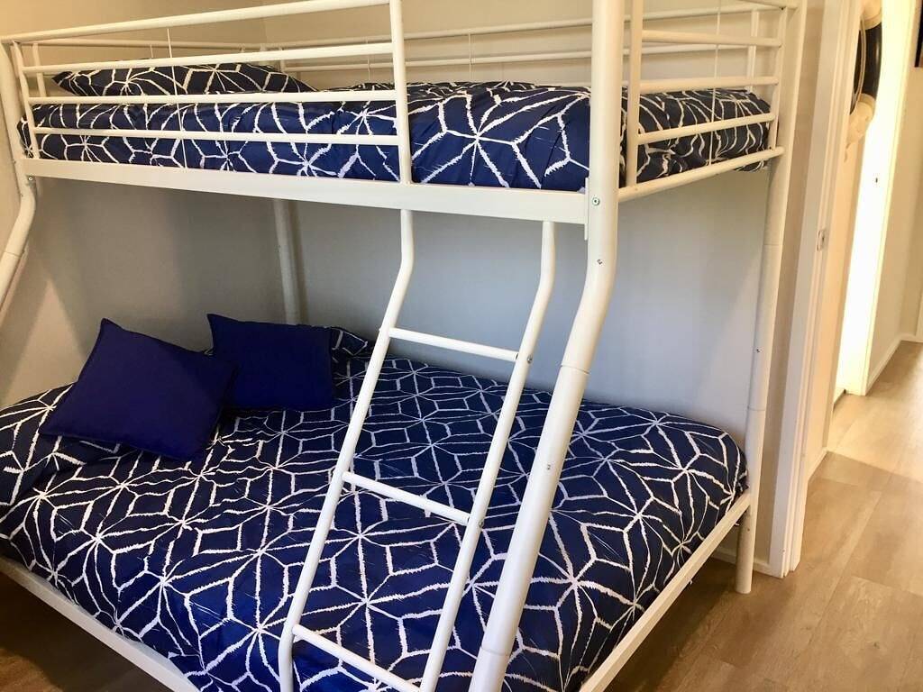 Perlmuttschalen bei Culburra Beach in Culburra, Culburra Beach