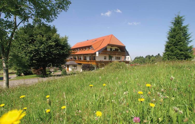 Hotel zum Breitenberg - Doppelzimmer mit Balkon, 28qm in Bad Peterstal-Griesbach, Mittlerer Schwarzwald