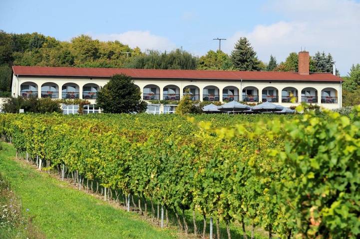 Hotel für 2 Personen, mit Terrasse in Freyburg (Unstrut)