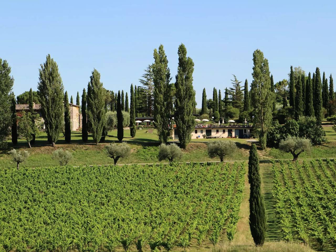 Apartamento entero, 4 estancias 4 Personas in Sarteano, Provincia de Siena