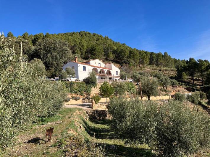 Casa rural para 12 personas, con jardín además de vistas y piscina, Se admiten mascotas en Yeste