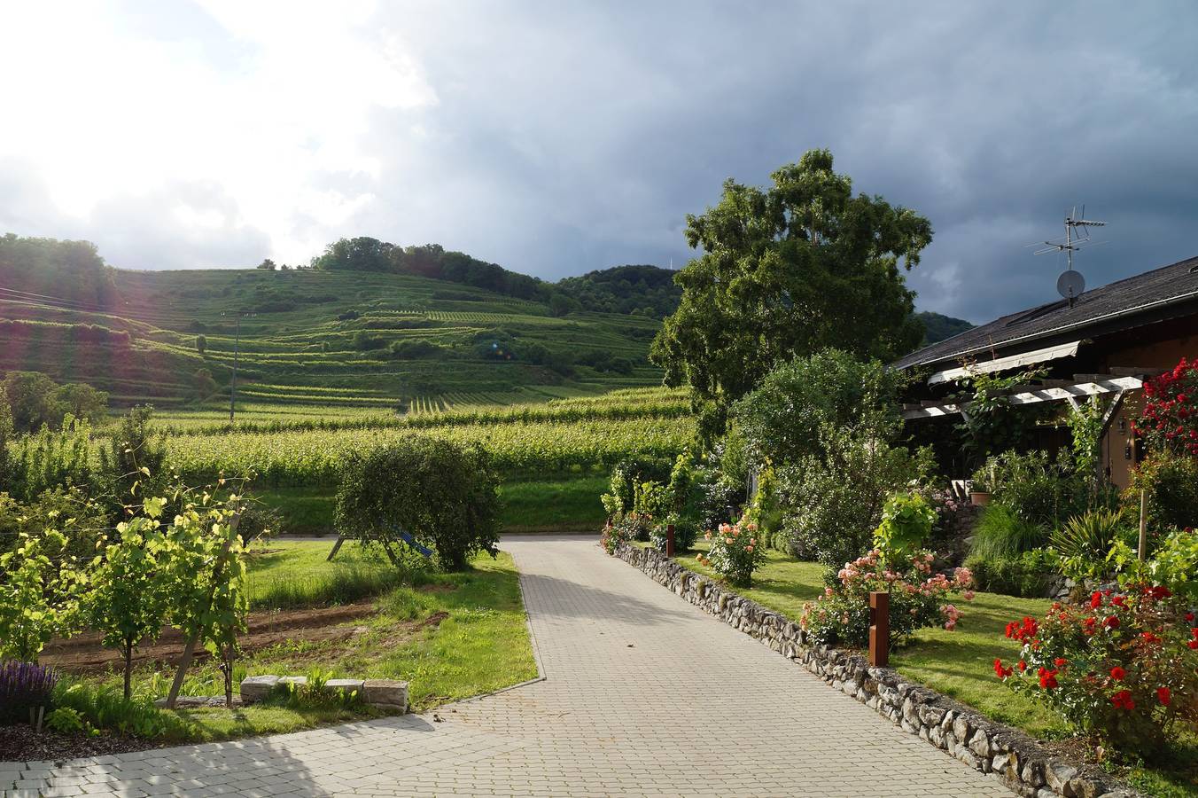 Ganze Ferienwohnung, Maienbrunnenhof - Lenzenberg, 38 qm, 1-2 Personen in Ihringen, Kaiserstuhl