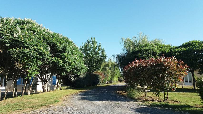 Gîte pour 4 personnes, avec terrasse et jardin, animaux acceptés dans le Gers - 3