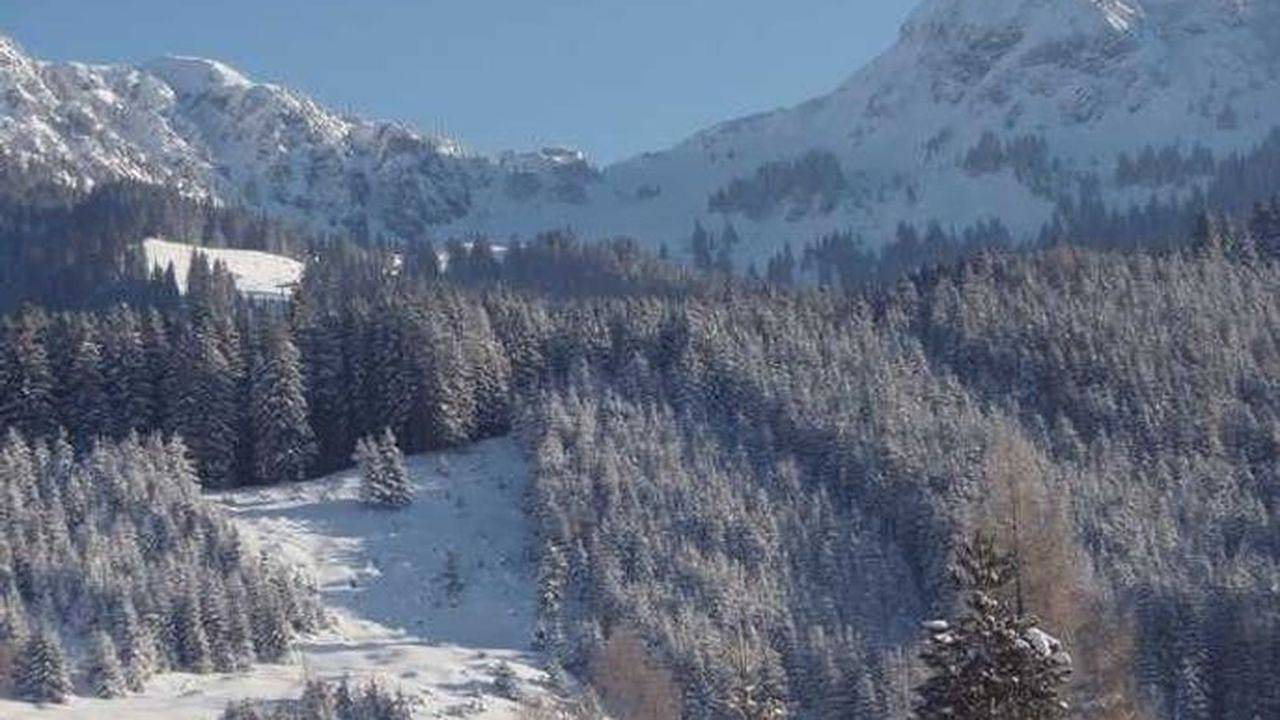 Ganze Ferienwohnung, Ferienwohnung für 5 Personen (85 m²) in Haldensee in Grän, Allgäuer Alpen (Österreich)