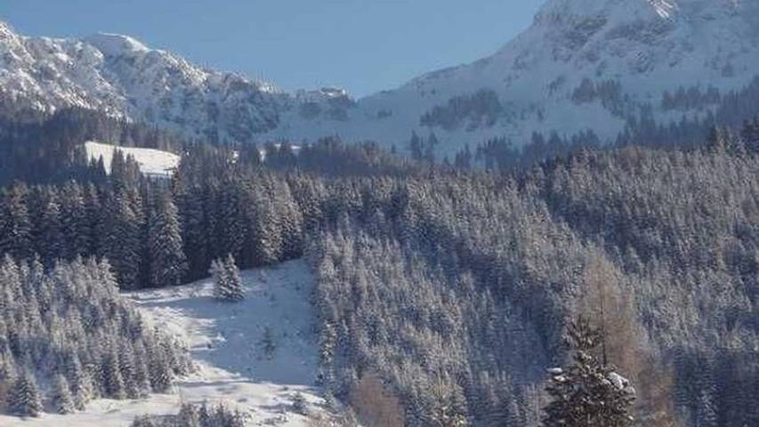 Ferienwohnung für 5 Personen, mit Garten am Haldensee - 3