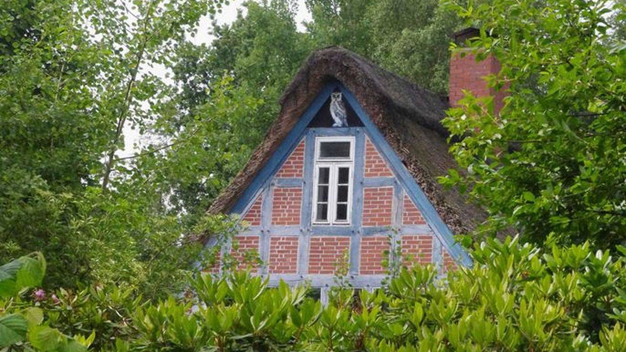 Ganze Ferienwohnung, Ferienwohnung für 4 Personen (50 m²) in Worpswede in Worpswede, Niedersachsen