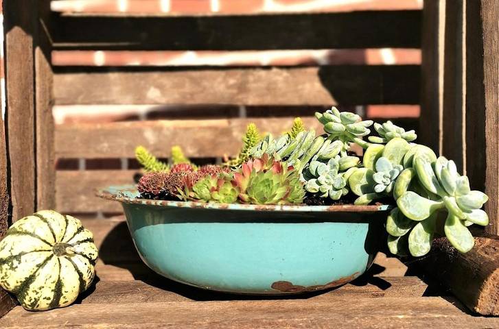 Location de vacances pour 4 personnes, avec jardin à Boeschepe - 3