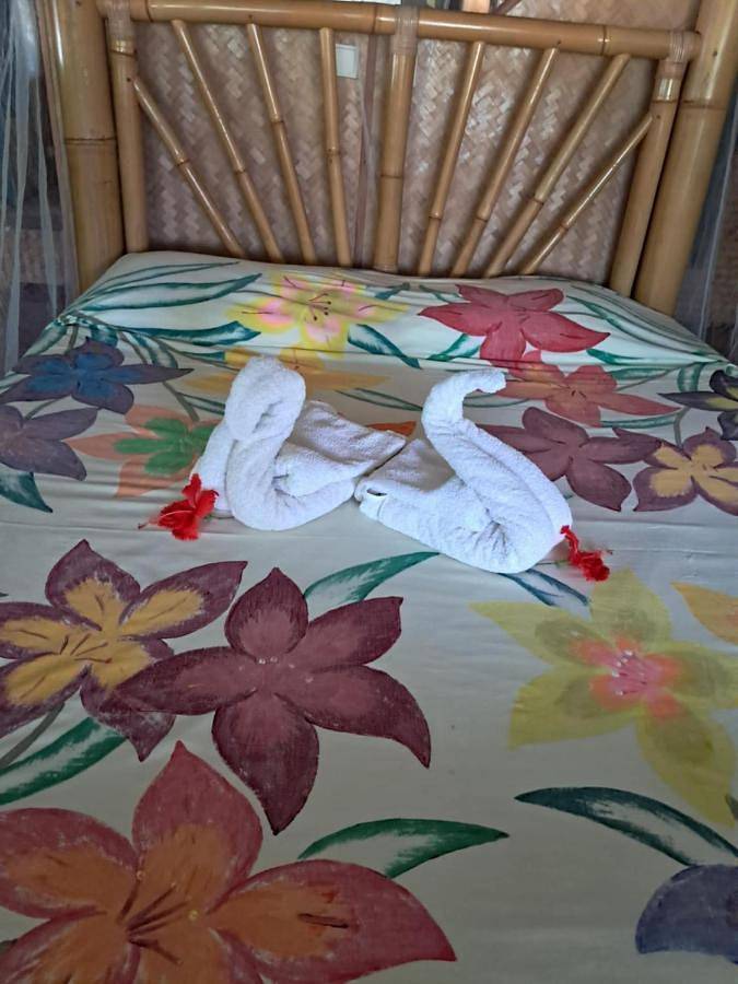 Gîte pour 5 personnes, avec vue ainsi que balcon et jardin dans Rangiroa - 3