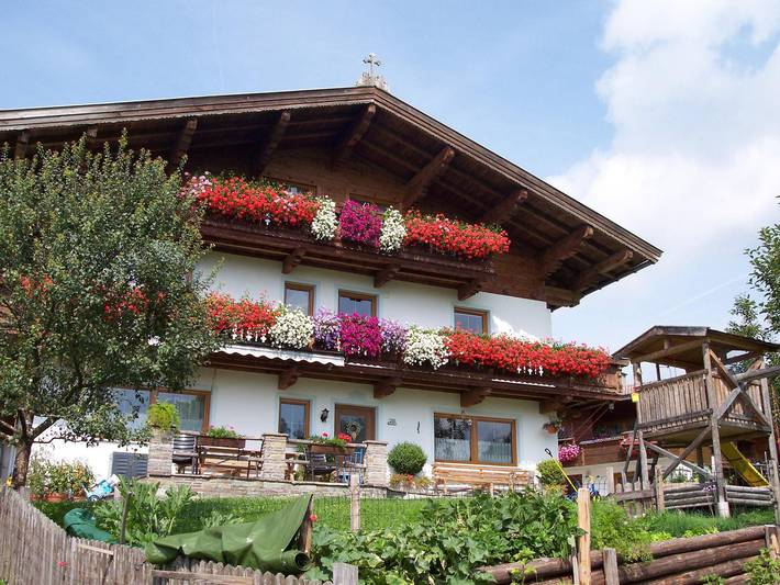 Hütte für 5 Personen, mit Garten, mit Haustier in Saalbach-Hinterglemm - 2