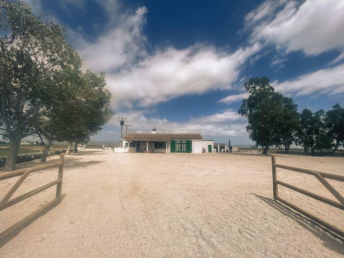 Casa rural para 12 personas, con jardín además de terraza y vistas en Delta del Ebro - 4