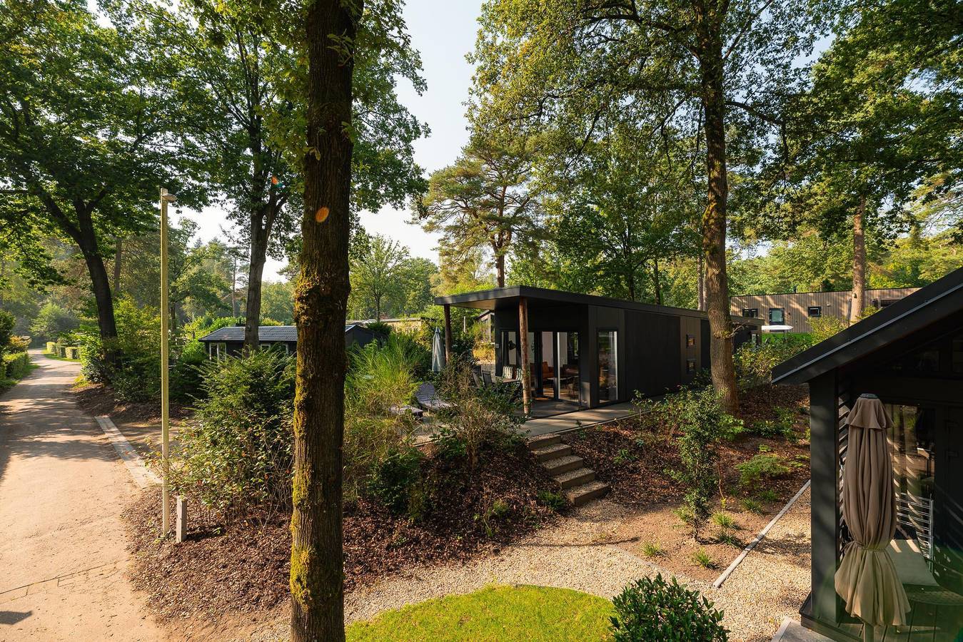 Veluwepark de Bosgraaf — Zand Lodge Komfort | 6 personen  in Veluwe