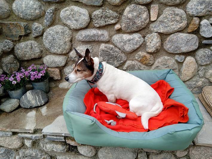 Gîte pour 2 personnes, avec balcon et jardin dans le Gard - 4