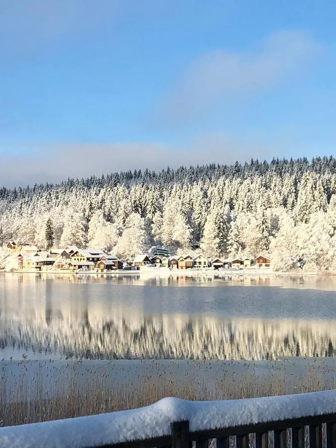 Apartamento de vacaciones para 4 personas, con sauna y jardín además de vistas al lago y vistas, Se admiten mascotas - 1