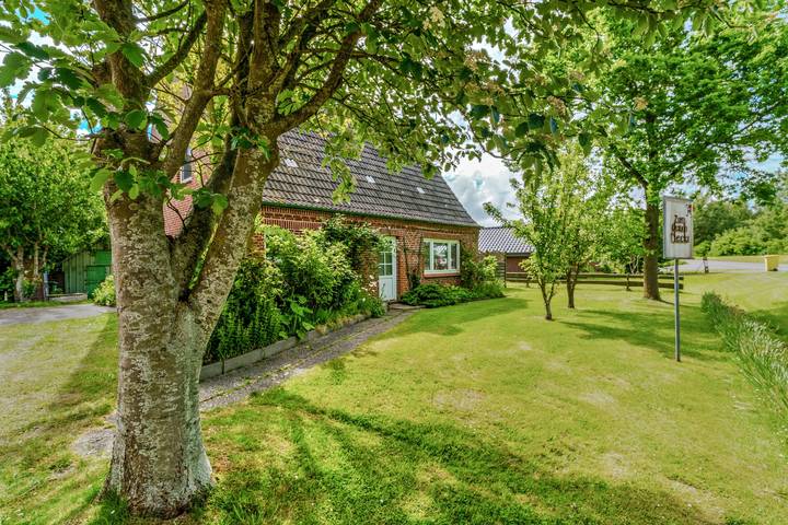 Ferienhaus für 6 Personen, mit Garten, mit Haustier in Pellworm - 2