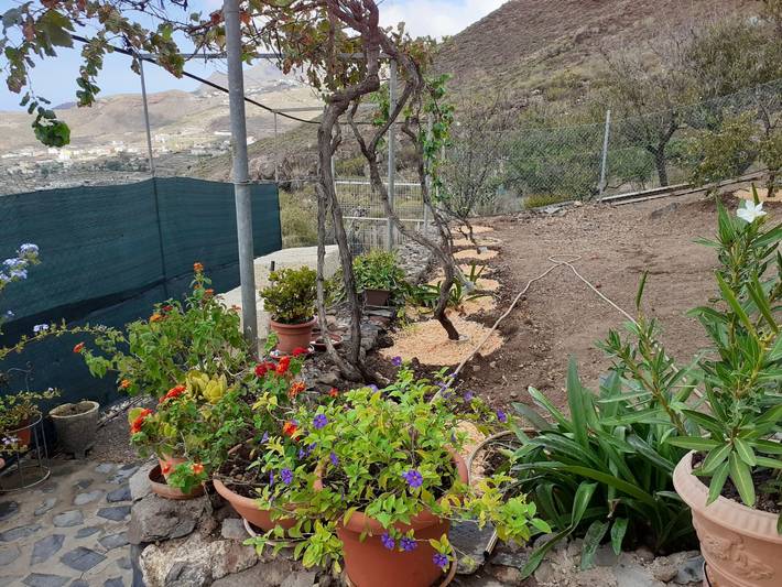 Villa pour 4 personnes, avec jardin à Arona - 4