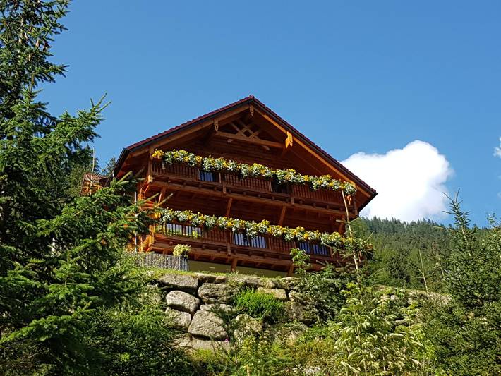 Ferienwohnung für 4 Personen, mit Terrasse und Garten im Pitztal - 4