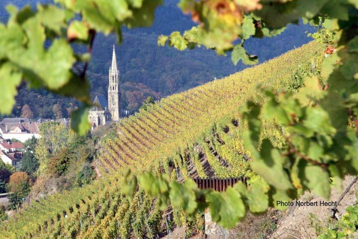 Hôtel pour 2 personnes, avec balcon à Thann - 2