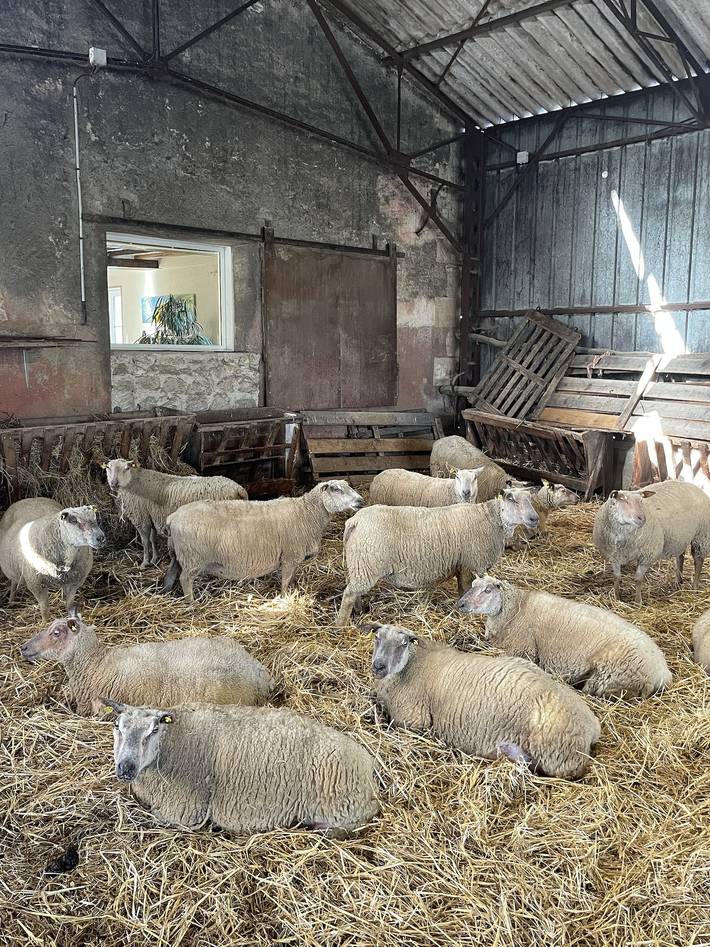 Gîte pour 6 personnes, avec terrasse près des Châteaux de la Loire - 4