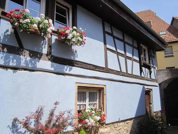 Gîte pour 4 personnes, avec jardin et piscine à Mutzig
