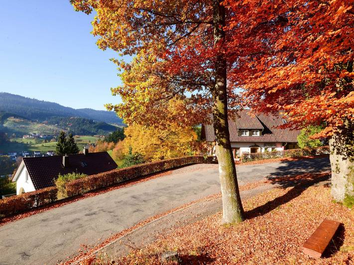 Ferienwohnung für 3 Personen, mit Ausblick und Garten sowie Terrasse und Sauna, mit Haustier in Bad Peterstal-Griesbach - 4