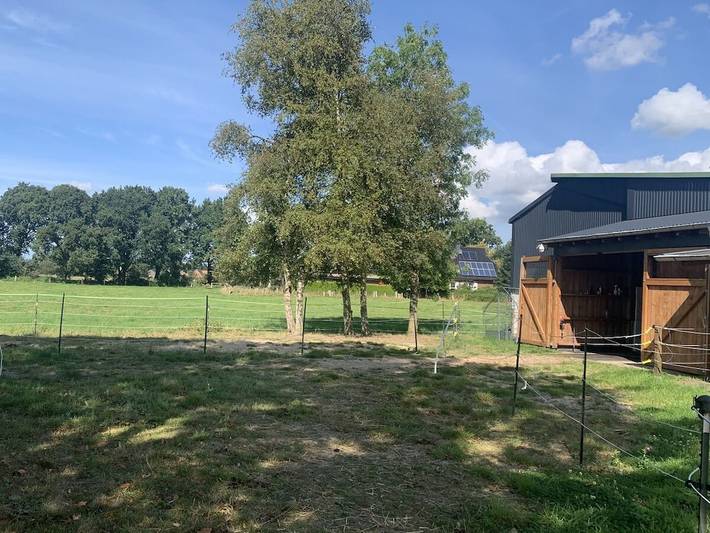 Ferienhaus für 4 Personen, mit Terrasse, mit Haustier in Geestland - 4