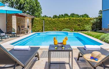 Location de vacances pour 12 personnes, avec piscine, animaux acceptés à Svetvinčenat