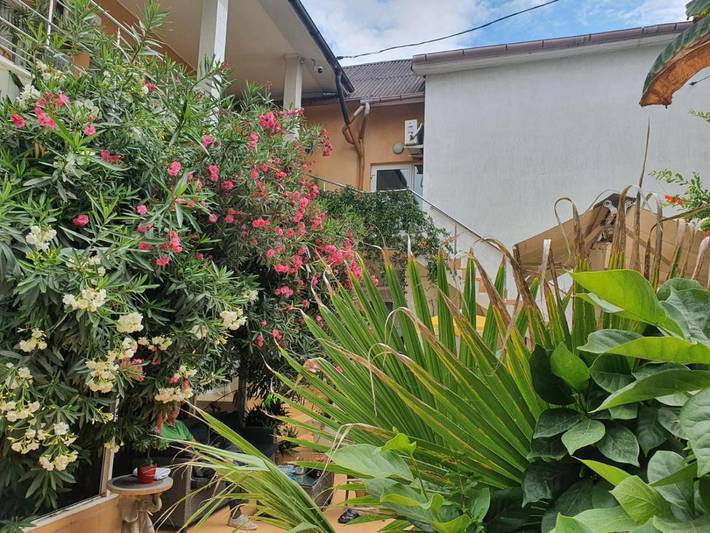 Maison d’hôte pour 3 personnes, avec jardin dans Constanța - 4