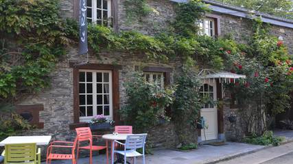 Gîte pour 9 personnes, avec terrasse et jardin, animaux acceptés dans Gros Fays