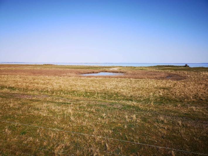 Panorama-Retreat in Borgnaes in Ærøskøbing, Kleiner Belt