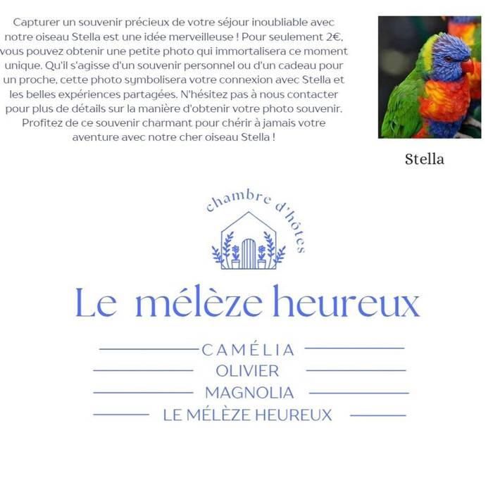 Location de vacances pour 4 personnes, avec terrasse ainsi que jardin et jacuzzi, animaux acceptés dans Brugelette - 4