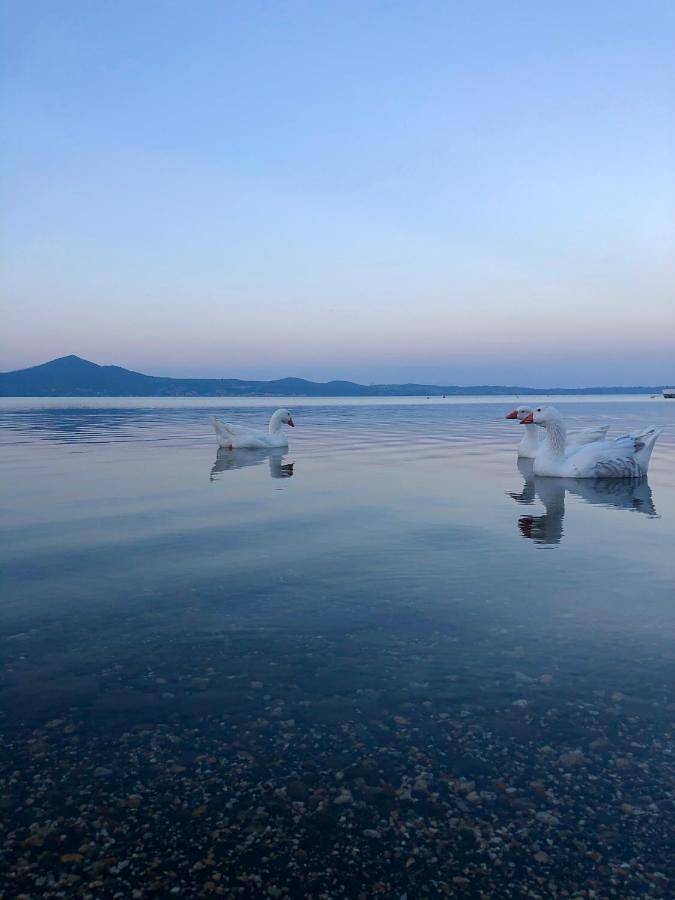 Gîte pour 4 personnes, avec vue sur le lac ainsi que jardin et vue à Bracciano - 2