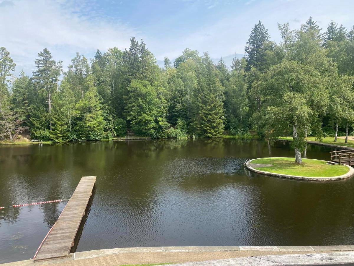 Geheel appartement, Das Waldseechalet Märchenhafter Waldseeblick - moderne Wohnung mit Infrarotsauna in Hasselfelde, Harzvorland