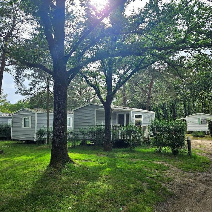 Gîte pour 5 personnes, avec jardin et piscine à La Boissière-de-Montaigu - 3
