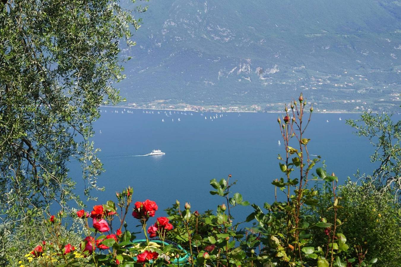 Ganze Wohnung, Appartements Casa Tamas in Limone in Tremosine, Gardasee-Berge