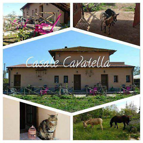 B&b per 3 persone, con Terrazza e Giardino nonché Panorama a Sermoneta