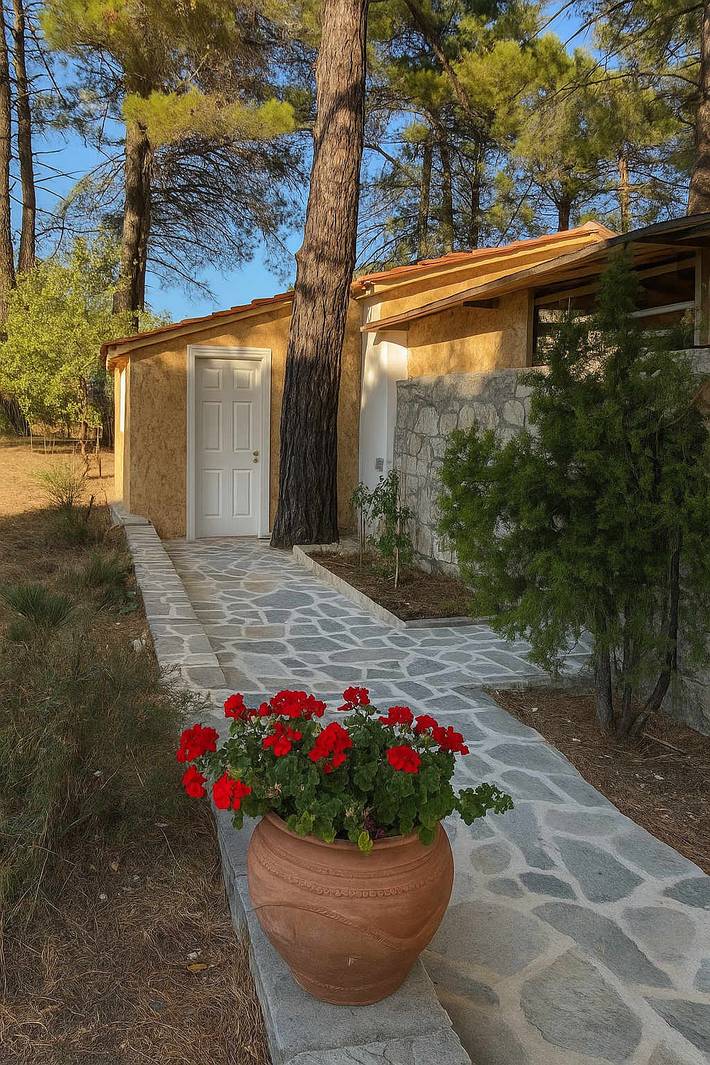 Ferienhaus für 3 Personen, mit Balkon/Terrasse auf Thassos - 3