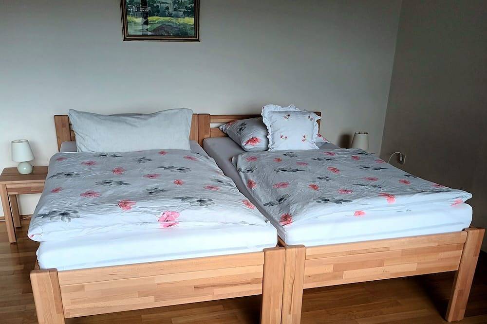 Ganze Wohnung, Büdingen-1-Zimmer-Apartment hell und Allergiker-geeignet in Büdingen, Wetterau