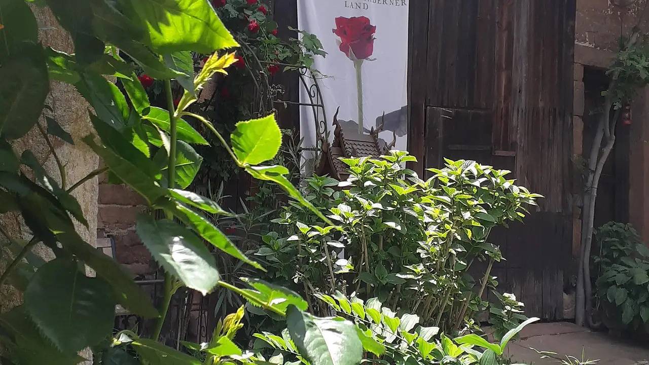 Ganze Ferienwohnung, Ferienwohnung für 2 Personen (42 m²) in Dörrenbach in Dörrenbach, Südliche Weinstraße