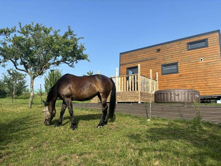 Location de vacances pour 3 personnes, avec jacuzzi et jardin à Frolois (Meurthe-et-Moselle)