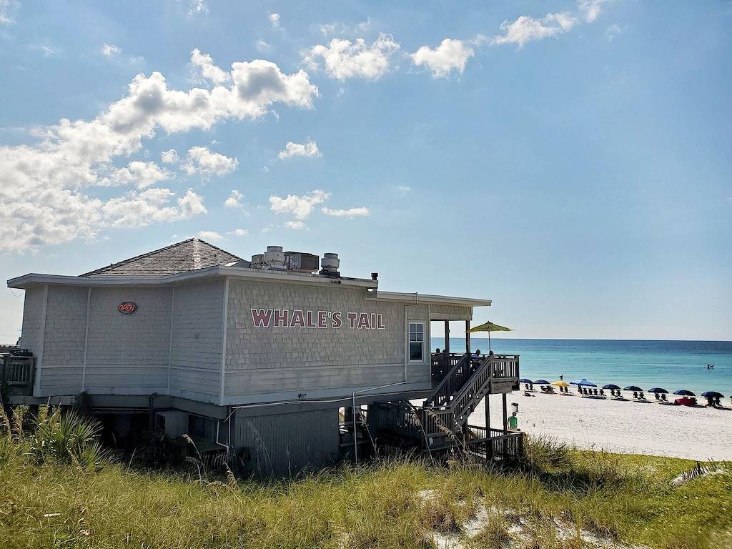 Ganze Wohnung, Pet-Friendly Maravilla Condo–Beach Ramp, Pools, Pickleball, Free Beach Setup in Miramar Beach, Emerald Coast