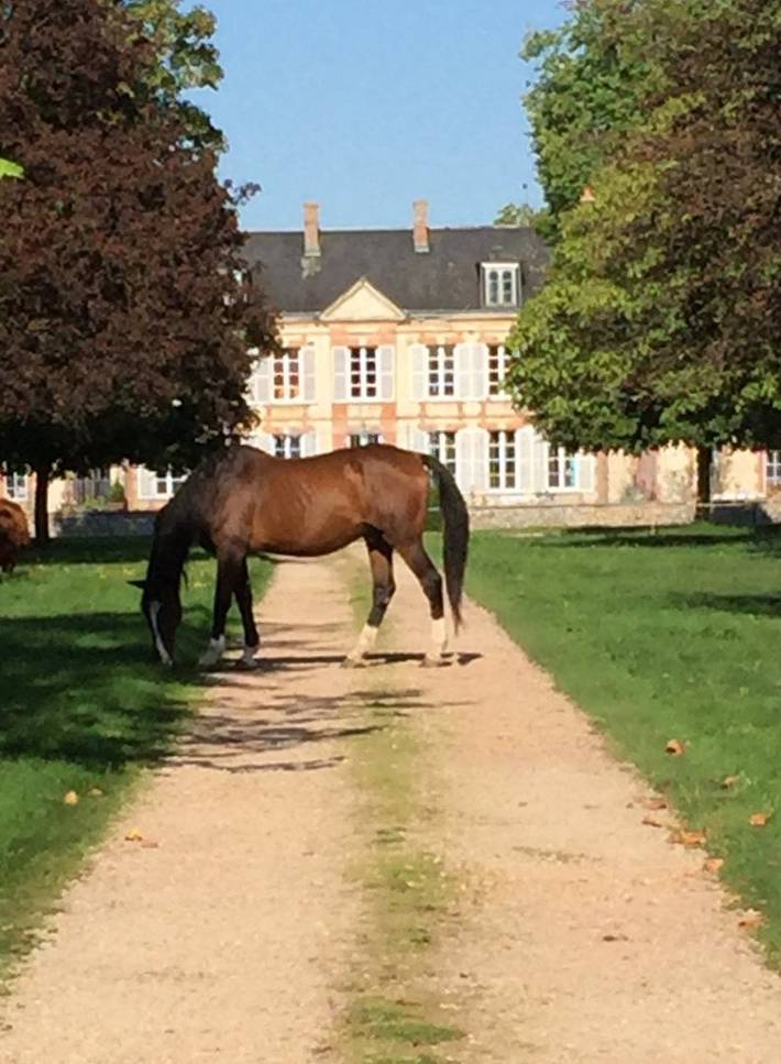 Chambre d’hôte pour 2 personnes, avec jardin dans l' Eure - 3