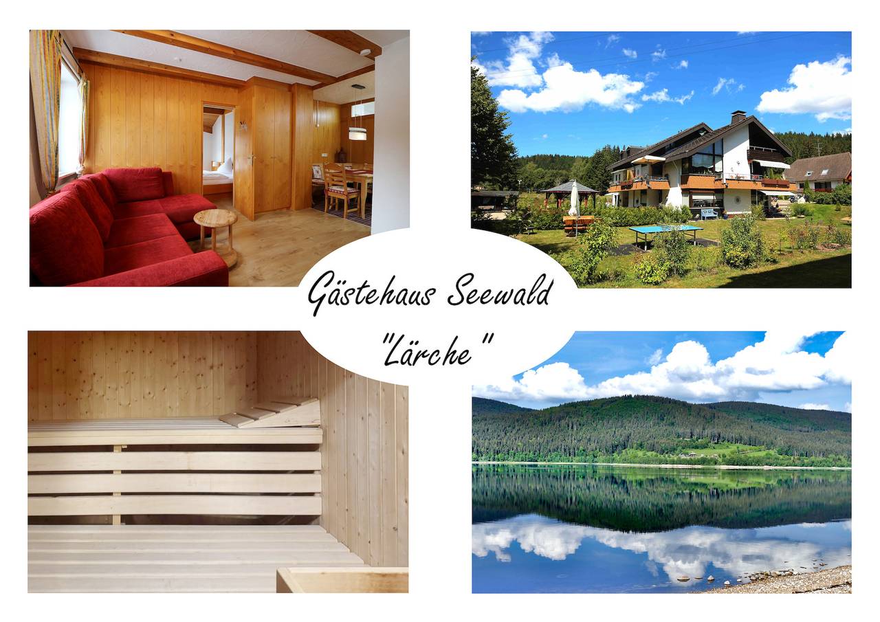 Ganze Ferienwohnung, Gästehaus Seewald- Ferienwohnung 4 "Lärche", Schluchsee, Blasiwald in Blasiwald (Schluchsee), Schluchsee